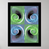 Nautilus-Poster Poster (Vorne)
