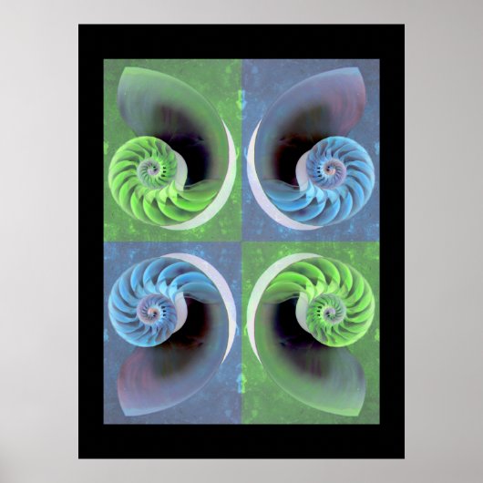 Nautilus-Poster Poster (Vorne)