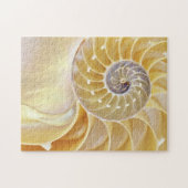 Nautilus Puzzle (Horizontal)