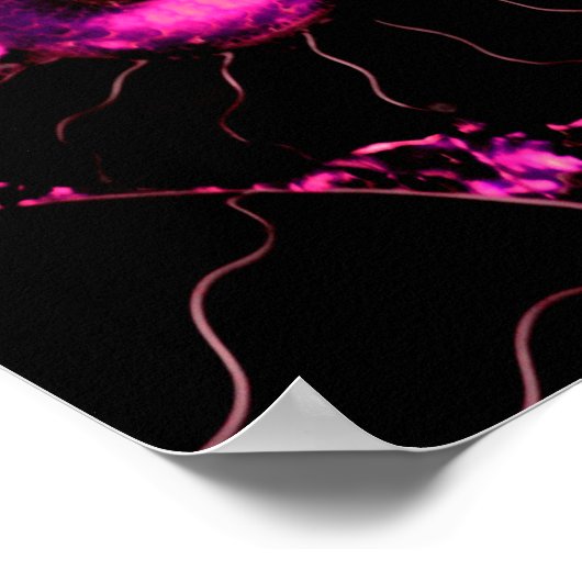 Nautilus-rosa-Muschel, ängstliche Geometrie Poster (Ecke)