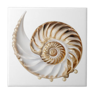 Nautilus-Schale 3D Perle Gold Glanz Ozean nautisch Fliese