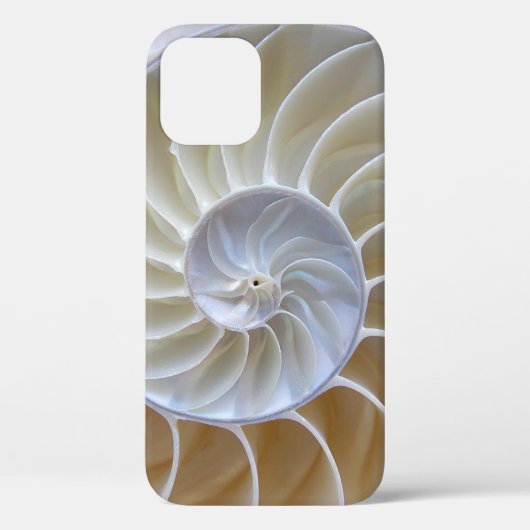 Nautilus Sea Muschel Foto Case-Mate iPhone Hülle (Rückseite)