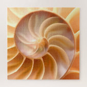 Nautilus Seashell Natur Themenrätsel für Erwachsen Puzzle (Horizontal)