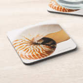 Nautilus Seashell (Nautilus stenomphalus) Getränkeuntersetzer (Linke Seite)