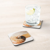 Nautilus Seashell (Nautilus stenomphalus) Getränkeuntersetzer (Rechte Seite)