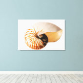 Nautilus seashell (Nautilus stenomphalus) Leinwanddruck (Insitu (Holzboden))