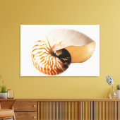 Nautilus seashell (Nautilus stenomphalus) Leinwanddruck (Insitu (Wohnzimmer))
