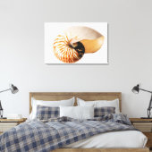 Nautilus seashell (Nautilus stenomphalus) Leinwanddruck (Insitu (Schlafzimmer))