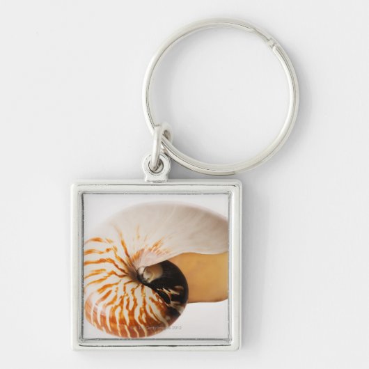 Nautilus Seashell (Nautilus stenomphalus) Schlüsselanhänger (Vorne)