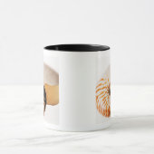 Nautilus Seashell (Nautilus stenomphalus) Tasse (Zentrum)