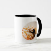 Nautilus Seashell (Nautilus stenomphalus) Tasse (VorderseiteRechts)