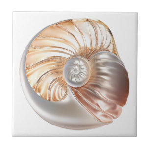 Nautilus seashell orange Perle 3D Strand Meer Fliese