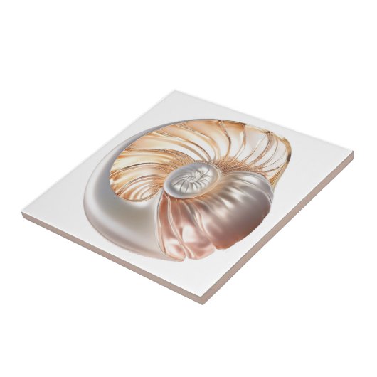 Nautilus seashell orange Perle 3D Strand Meer Fliese (Seite)
