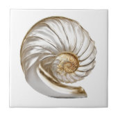 Nautilus seashell pearl 3D Strand nautische Fliese (Vorderseite)
