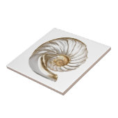 Nautilus seashell pearl 3D Strand nautische Fliese (Seite)