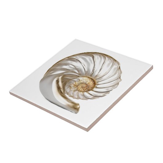 Nautilus seashell pearl 3D Strand nautische Fliese (Seite)