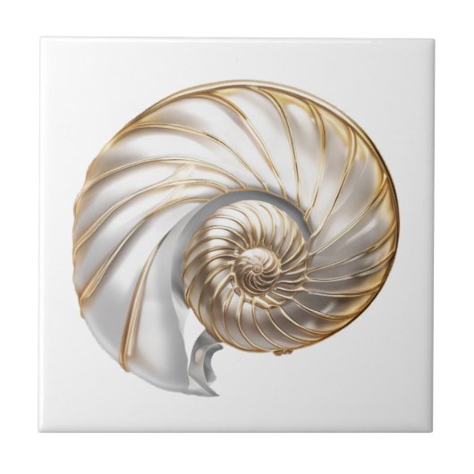 Nautilus seashell Perle glanz 3D Strand Meer Fliese (Vorderseite)