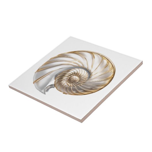 Nautilus seashell Perle glanz 3D Strand Meer Fliese (Seite)