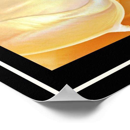 Nautilus seashell Poster (Ecke)