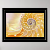 Nautilus seashell Poster (Vorne)