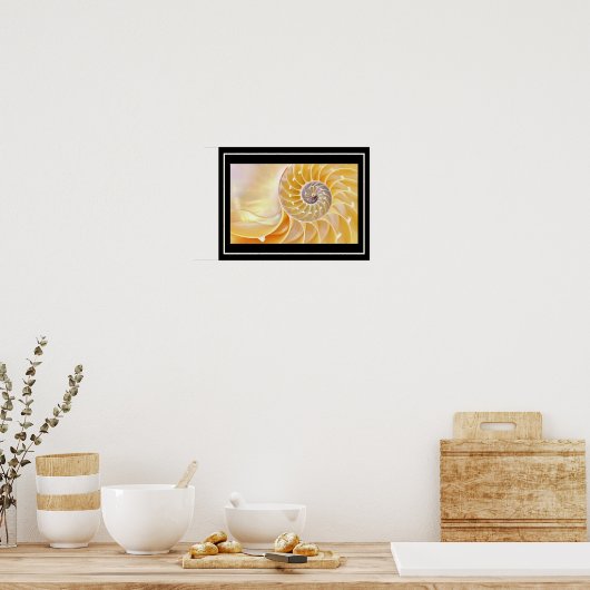Nautilus seashell Poster (Küche)
