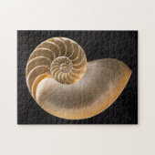 Nautilus Seashell Puzzle (Horizontal)