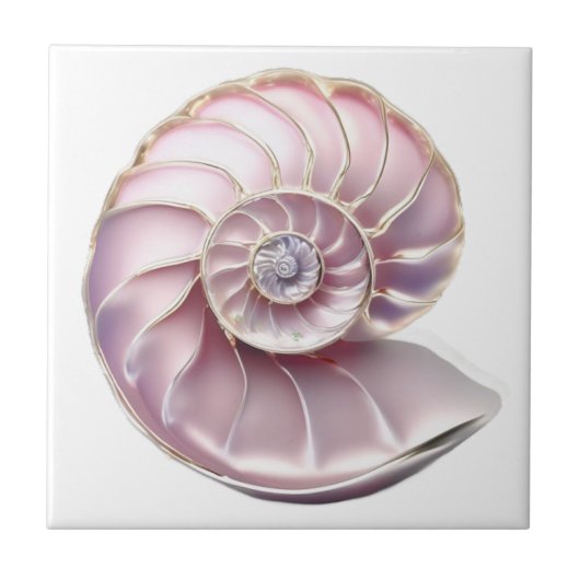 Nautilus seashell rosa 3D Strand Meer nautisch Fliese (Vorderseite)