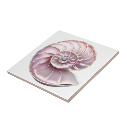 Nautilus seashell rosa 3D Strand Meer nautisch Fliese (Seite)
