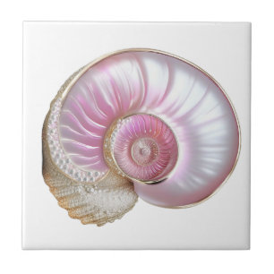 Nautilus seashell rosa Perle 3D Strand Meer Fliese