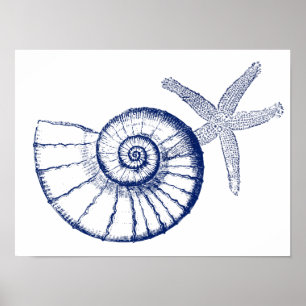 Nautilus Seashell & Starfish Meereslebewesen Poster