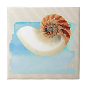 Nautilus Seashell und Sand Fliese