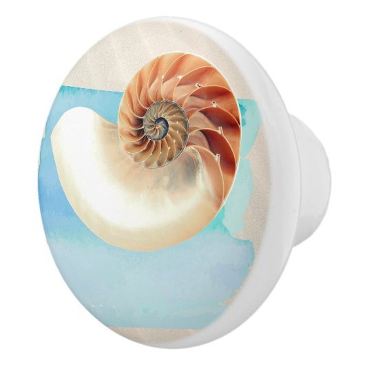 Nautilus Seashell und Sand Keramikknauf (Rechts)