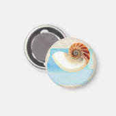Nautilus Seashell und Sand Magnet (Vorderseite/Rückseite)