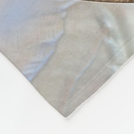 Nautilus Shell - Abalone and Pearl Fleecedecke (Ecke)