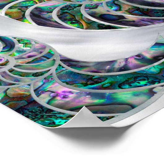 Nautilus Shell Abalone and Pearl Poster (Ecke)