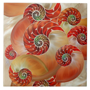 Nautilus Shells Fliese