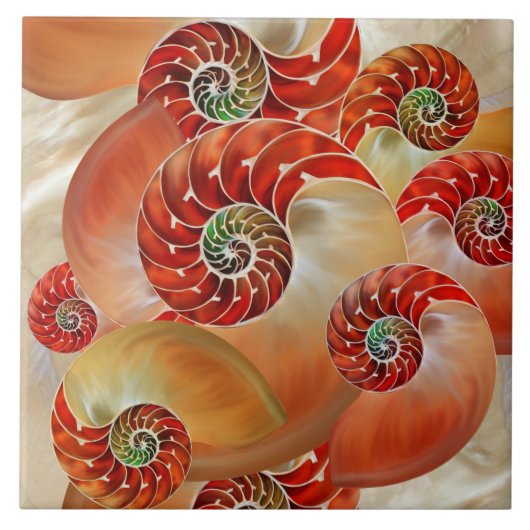 Nautilus Shells Fliese (Vorderseite)