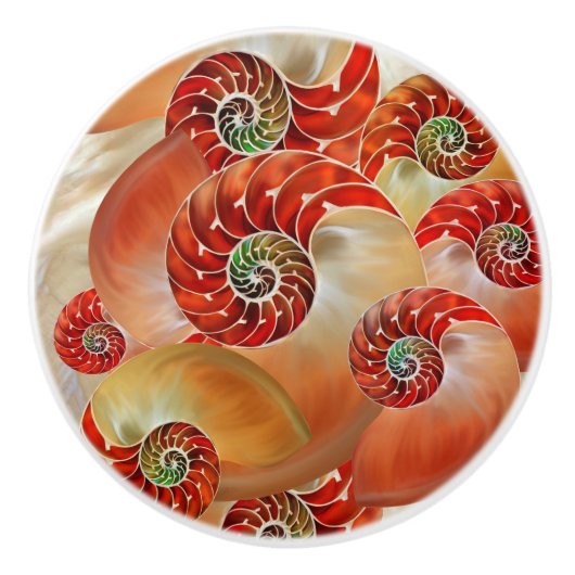 Nautilus Shells Keramikknauf (Vorderseite)