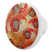 Nautilus Shells Keramikknauf (Rechts)