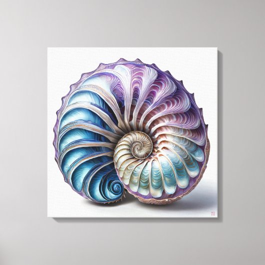 Nautilus - Wrapped Canvas Art Print Leinwanddruck (Vorderseite)