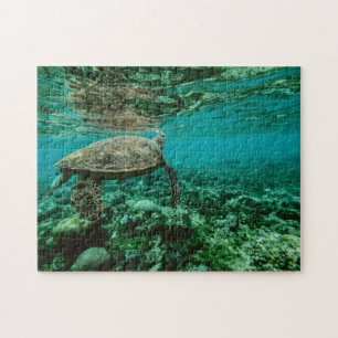 Nautische Foto Meeresfotografie Fische Pic Puzzle