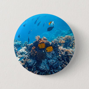 Nautische Fotos Meerestierfotografie Fische Pic Button
