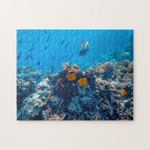 Nautische Fotos Meerestierfotografie Fische Pic Puzzle