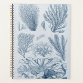 Nautische Meereswelt Planer (Vorderseite)