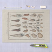 Nautische Muscheln Ephemera Decoupage Französisch Seidenpapier (Handwerk)