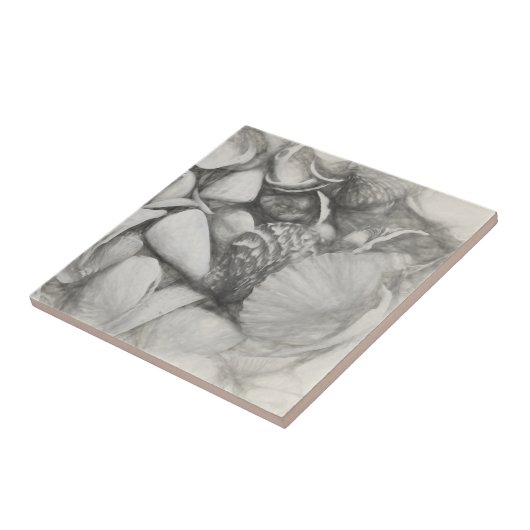 Nautische Muscheln Ocean Beach Vintag Antique Fliese (Seite)