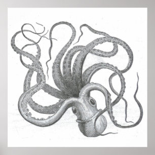 Nautische Steampunk-Oktopus-Vintage-Kraken-Zeichnu Poster