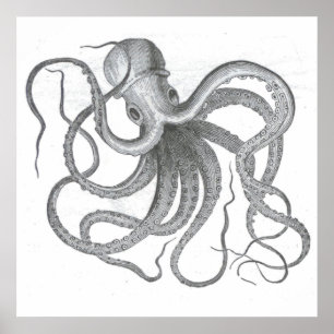 Nautische Steampunk-Oktopus-Vintage-Kraken-Zeichnu Poster