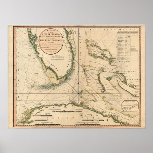 Nautische Übersicht über den Golf von Florida Poster (Vorne)