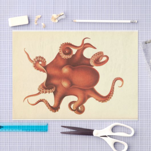 Nautischer Oktopus Ephemera Decoupage Red Seidenpapier (Handwerk)